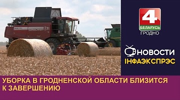 <b>Новости Гродно. 12.08.2024</b>. Уборка в Гродненской области близится к завершению