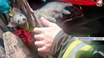 <b>Новости Гродно. 15.09.2021</b>. Щучинские спасатели пришли на помощь щенку