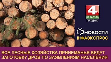 <b>Новости Гродно. 23.10.2023</b>. Все лесные хозяйства Принеманья ведут заготовку дров по заявлениям населения