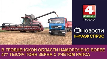 <b>Новости Гродно. 17.07.2024</b>. В Гродненской области намолочено более 477 тысяч тонн зерна с учётом рапса