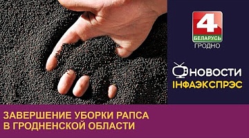 <b>Новости Гродно. 30.07.2024</b>. Завершение уборки рапса в Гродненской области