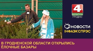 <b>Новости Гродно. 20.12.2024</b>. В Гродненской области открылись ёлочные базары