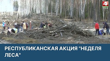 <b>Новости Гродно. 01.04.2022</b>. Республиканская акция "Неделя леса"