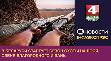 <b>Новости Гродно. 20.08.2024</b>. В Беларуси стартует сезон охоты на лося, оленя благородного и лань