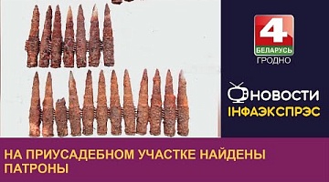 <b>Новости Гродно. 11.08.2022</b>. На приусадебном участке найдены патроны