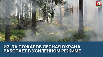 <b>Новости Гродно. 25.03.2022</b>. Небезопасная пожарная ситуация в Гродненском районе