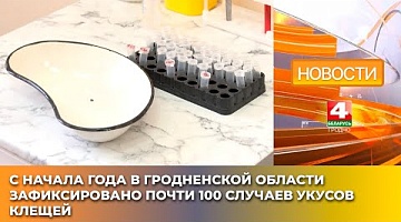 <b>Новости Гродно. 08.04.2025</b>. С начала года в Гродненской области зафиксировано почти 100 случаев укусов клещей