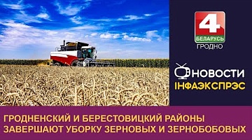 <b>Новости Гродно. 08.08.2024</b>. Гродненский и Берестовицкий районы завершают уборку зерновых и зернобобовых