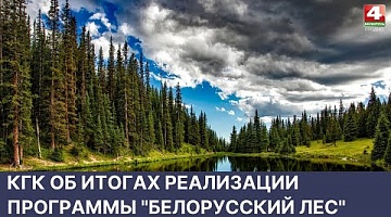 <b>Новости Гродно. 31.05.2022</b>. КГК об итогах реализации программы "Белорусский лес"