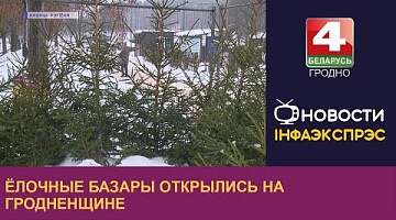 <b>Новости Гродно. 20.12.2022</b>. Ёлочные базары открылись на Гродненщине