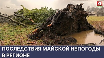 <b>Новости Гродно. 27.05.2022</b>. Последствия майской непогоды в регионе