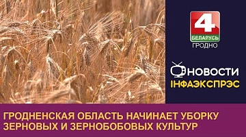 <b>Новости Гродно. 21.06.2024</b>. Гродненская область начинает уборку зерновых и зернобобовых культур