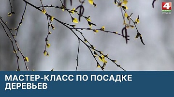 <b>Новости Гродно. 28.03.2022</b>. Мастер-класс по посадке деревьев в СШ №28