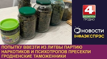 <b>Новости Гродно. 07.10.2024</b>. Гродненские таможенники пресекли попытку ввоза грибов и таблеток, содержащих психотропы