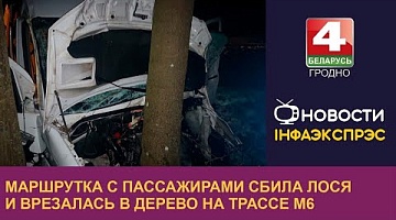 <b>Новости Гродно. 02.12.2022</b>. Маршрутка с пассажирами сбила лося и врезалась в дерево на трассе М6
