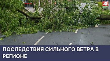 <b>Новости Гродно. 13.05.2022</b>. Последствия сильного ветра в регионе