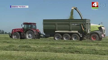 <b>Новости Гродно. 30.06.2021</b>. Ко второму этапу уборки многолетних трав приступили в Гродненском районе