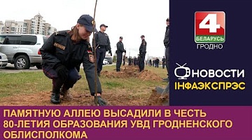 <b>Новости Гродно. 07.10.2024</b>. Памятную аллею высадили в честь 80-летия образования УВД Гродненского облисполкома