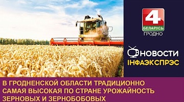 <b>Новости Гродно. 31.07.2024</b>. В Гродненской области традиционно самая высокая по стране урожайность зерновых и зернобобовых