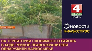 <b>Новости Гродно. 21.08.2024</b>. На территории Слонимского района в ходе рейдов правоохранители обнаружили наркосырье