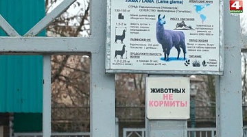 <b>Новости Гродно. 14.02.2022</b>. Прибавление в Гродненском зоопарке