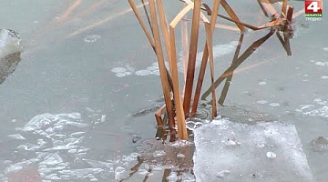 <b>Новости Гродно. 17.01.2022</b>. В Зельвенском районе рыбак провалился под лед
