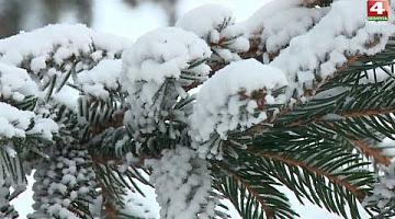 <b>Новости Гродно. 21.01.2022</b>. Снегопады и снегоуборочная техника