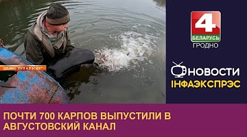 <b>Новости Гродно. 03.12.2024</b>. Почти 700 карпов выпустили в Августовский канал