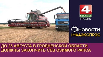 <b>Новости Гродно. 19.08.2024</b>. До 25 августа в Гродненской области должны закончить сев озимого рапса