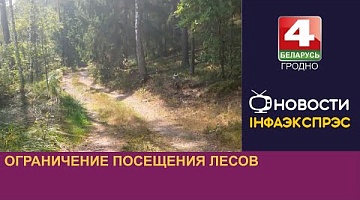 <b>Новости Гродно. 07.08.2024</b>. Ограничение посещения лесов