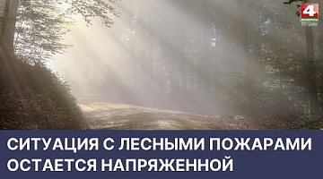 <b>Новости Гродно. 18.04.2022</b>. Ситуация с лесными пожарами остается напряженной