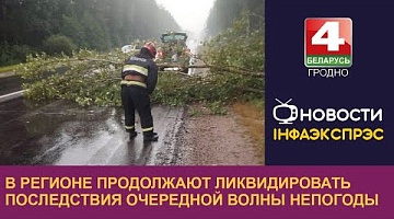 <b>Новости Гродно. 30.07.2024</b>. В регионе продолжают ликвидировать последствия очередной волны непогоды