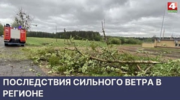 <b>Новости Гродно. 23.05.2022</b>. Последствия сильного ветра в регионе