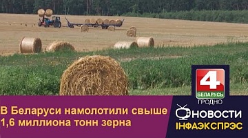 <b>Новости Гродно. 01.08.2022</b>. В Беларуси намолотили свыше 1,6 миллиона тонн зерна