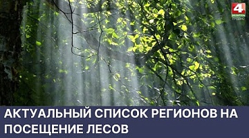 <b>Новости Гродно. 24.05.2022</b>. Актуальный список регионов на посещение лесов