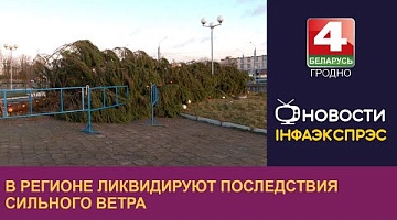 <b>Новости Гродно. 16.12.2024</b>. В регионе ликвидируют последствия сильного ветра