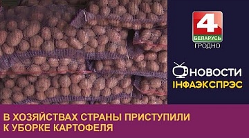 <b>Новости Гродно. 07.09.2022</b>. В хозяйствах страны приступили к уборке картофеля