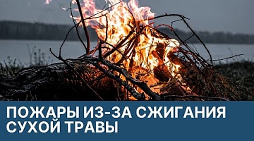<b>Новости Гродно. 14.03.2022</b>. Пожары по причине пала травы