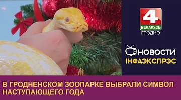 <b>Новости Гродно. 10.12.2024</b>. В Гродненском зоопарке выбрали символ наступающего года