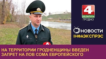 <b>Новости Гродно. 04.11.2024</b>. На территории Гродненщины введен запрет на лов сома европейского