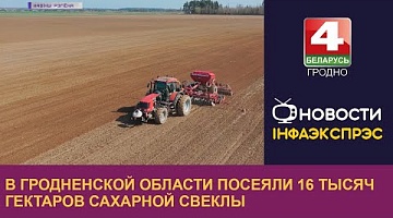 <b>Новости Гродно. 19.04.2023</b>. В Гродненской области посеяли 16 тысяч гектаров сахарной свеклы