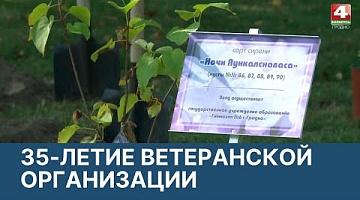 <b>Новости Гродно. 11.03.2022</b>. 35-летний юбилей ветеранской организации