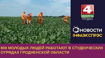 <b>Новости Гродно. 27.06.2023</b>. 800 молодых людей работают в студенческих отрядах Гродненской области