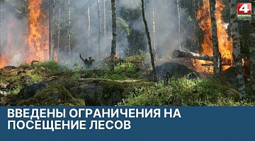 <b>Новости Гродно. 29.03.2022</b>. Ограничения на посещение лесов