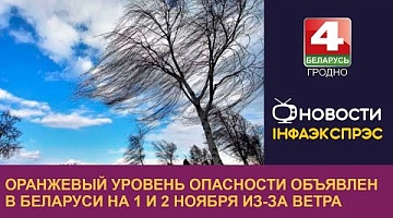 <b>Новости Гродно. 01.11.2024</b>. Оранжевый уровень опасности объявлен в Беларуси на 1 и 2 ноября из-за ветра