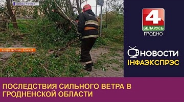<b>Новости Гродно. 16.05.2023</b>. Последствия сильного ветра в Гродненской области