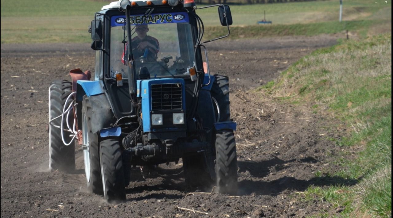 Аграрии Гродненской области приступили к севу сахарной свеклы