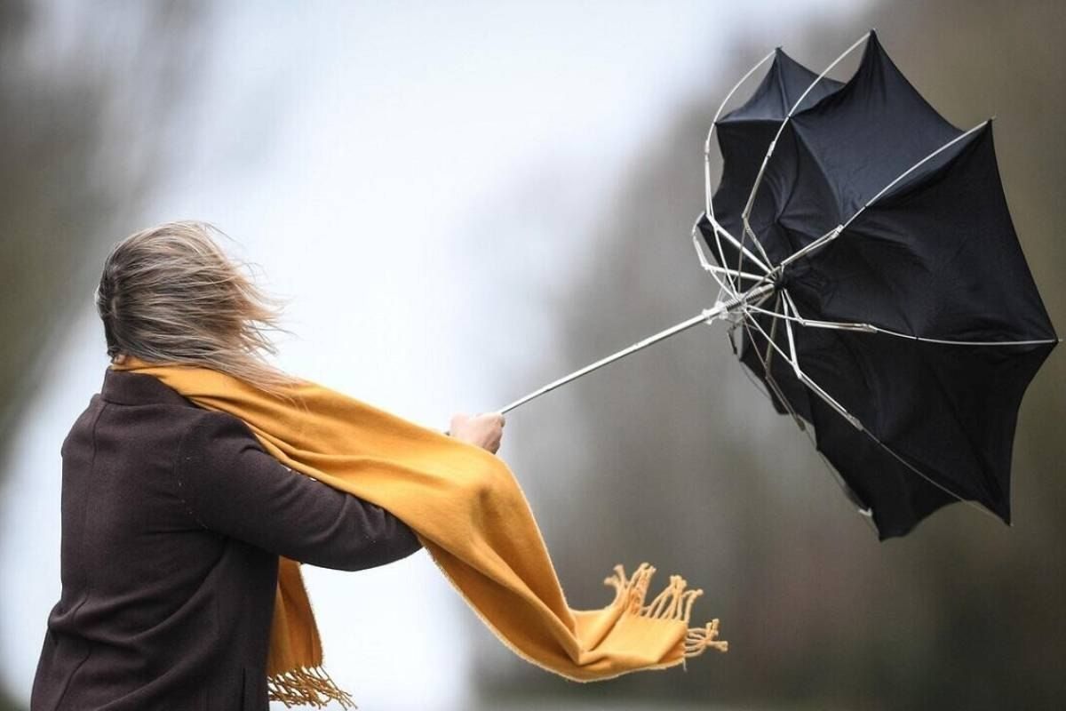 Из-за сильного ветра на 5 сентября в Беларуси объявлен оранжевый уровень опасности